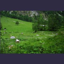 2007-05_12Koenigssee (008).JPG